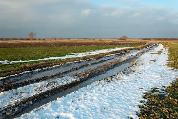 istock Frozen dirt road through fields, horizon and cloud on a sky 1197343539