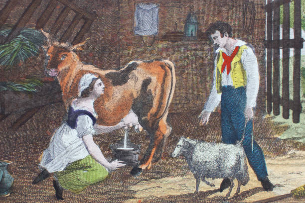 istock Woman milks a cow, man with a sheep speaks to her about somethin 1197345294