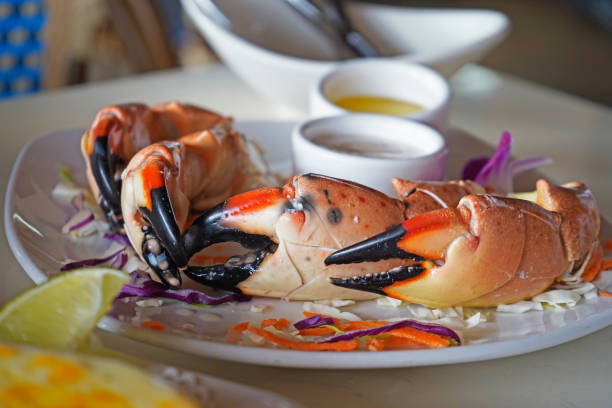 Florida Stone crab claws served with butter and dip at the resaturant in Miami, USA On the plate in the restaurant florida food stock pictures, royalty-free photos & images