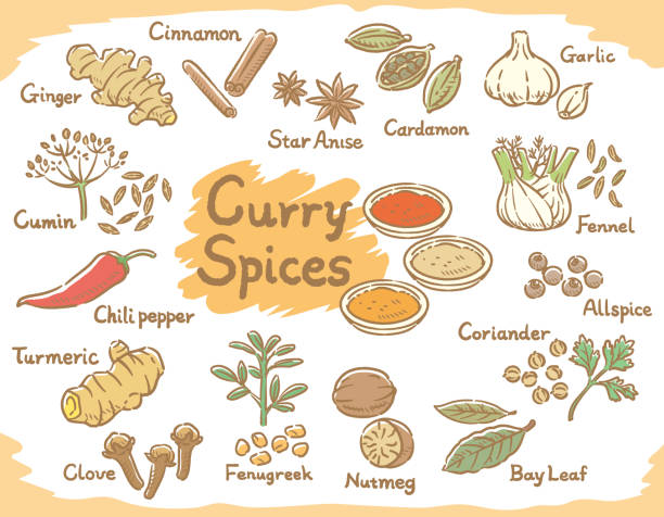 illustrazioni stock, clip art, cartoni animati e icone di tendenza di spezie ed erbe aromatiche per curry o cucina indiana. - zenzero spezie