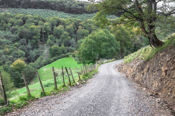 istock Road leading into the distance past forests and fields 1197356779