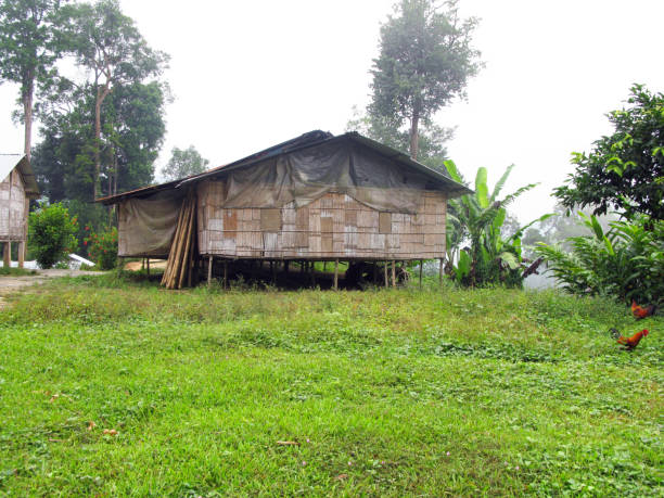 istock Small Village in Pahang State, Malaysia 1197356859