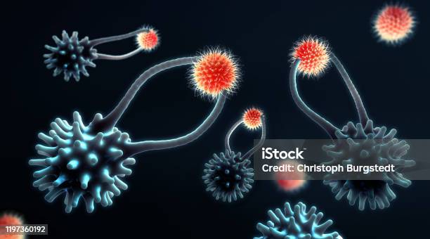 Cytotoxic T Cells Search And Destroy Mutated Cancer Cells 3d Illustration Stock Photo - Download Image Now