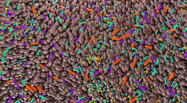 istock Different germs in the human intestines called microbiome - 3d illustration 1197360377