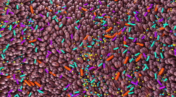istock Different germs in the human intestines called microbiome - 3d illustration 1197360434