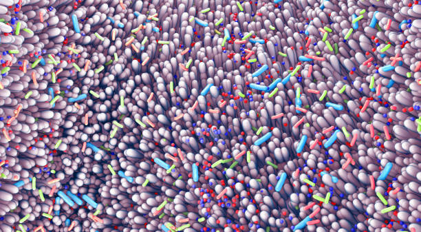 istock Different germs in the human intestines called microbiome - 3d illustration 1197360569