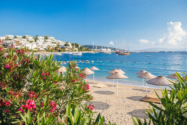 view of bodrum beach, aegean sea, traditional white houses, flowers, marina, sailing boats, yachts in bodrum city town turkey. - greece blue house wall imagens e fotografias de stock