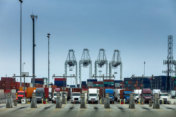 istock Line of Trucks Beneath Ship to Shore Cranes at Container Terminal 1197366680
