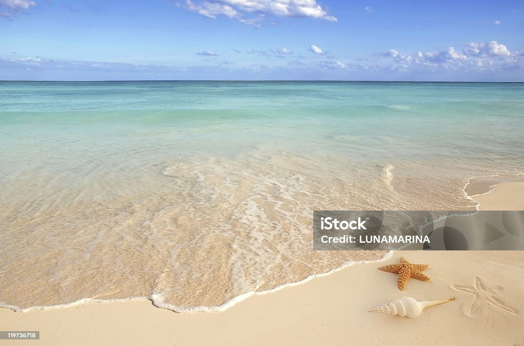 Soleada playa vacía con una estrella de mar y de la concha de mar - Foto de stock de Playa libre de derechos