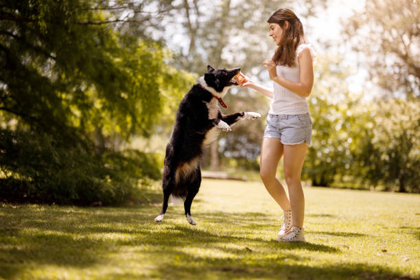 istock Young woman training her dog 1197367760