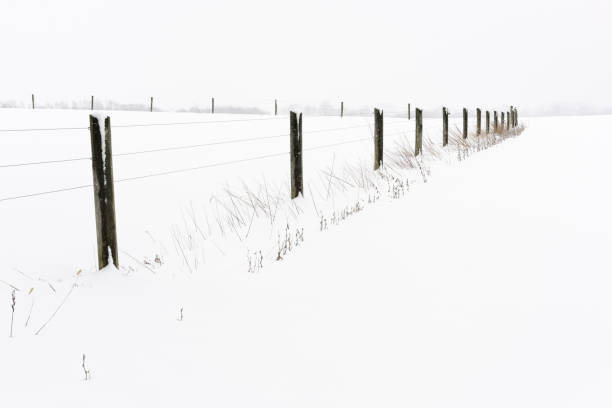 istock Fence in Snow Covered Field in Winter 1197368681