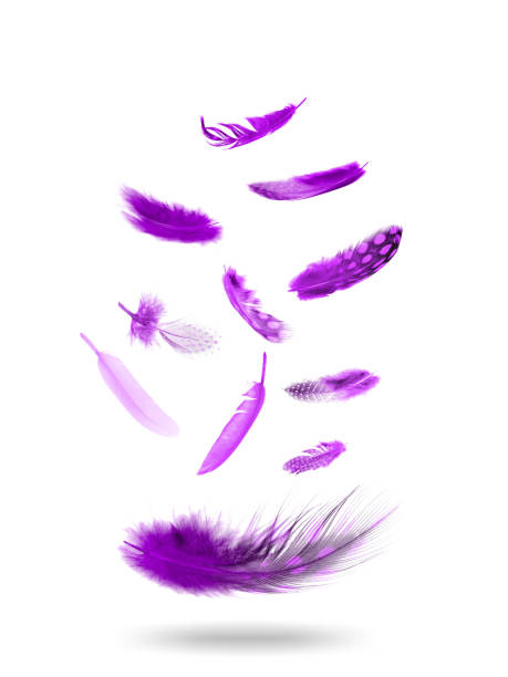 istock color flying feathers. Isolated on white background. 1197373185