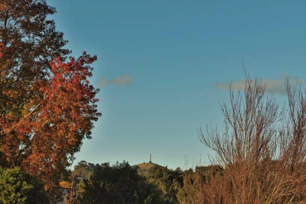 istock Autumn leaves on tree under cloudy blue sky 1197385374