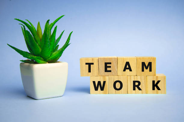 istock Word Teamwork on wooden cubes on blue background. Cooperation, togetherness, partnership concept 1197389168