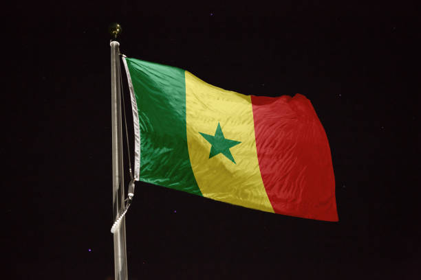 夜に風に吹くセネガルの旗 - flag of senegal ストックフォトと画像