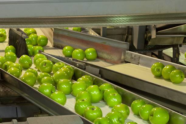istock Granny Smith apples on a conveyor belt line in a fruit packing warehouse 1197397084