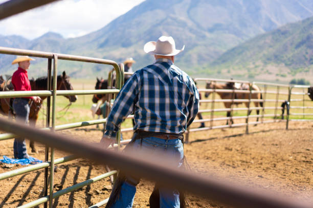 istock Cattle branding in Utah - USA 1197398894