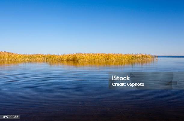Jezioro Ciche Letnie - zdjęcia stockowe i więcej obrazów Bez ludzi - Bez ludzi, Fotografika, Horyzont wodny