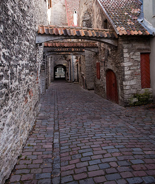 istock Katarina street in Tallinn 119740492