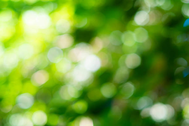 istock Green bokeh on nature defocus abstract blur background 1197406217