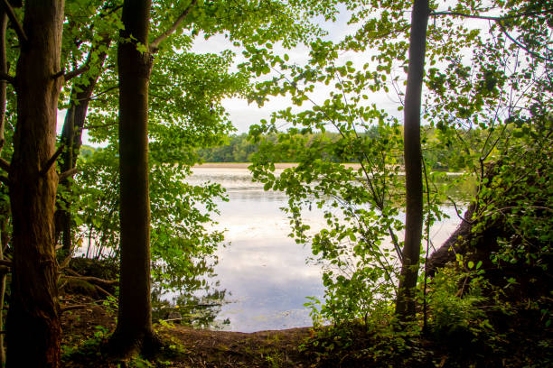 Hiking around Mogadore Reservoir in summer