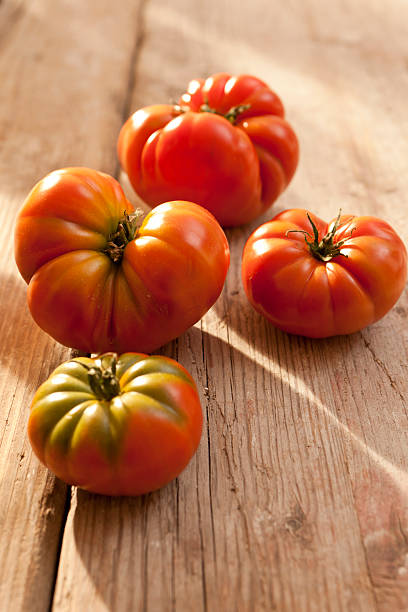 Beef tomatoes stock photo