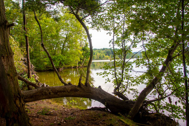 Hiking around Mogadore Reservoir in summer