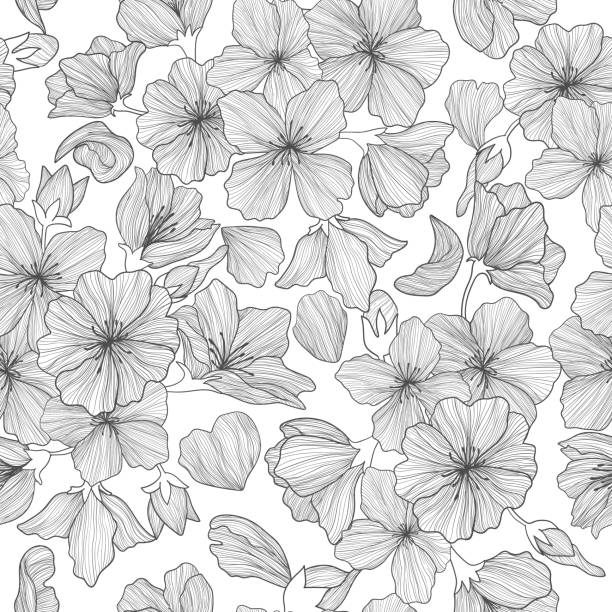 ilustrações, clipart, desenhos animados e ícones de as flores de sakura alinham o teste padrão sem emenda do vetor da arte no fundo branco. o fundo repetido da mola com flores japonesas da cereja no esboço. fundo romântico da mola. melhor para têxteis, impressos ou web. - cherry blossom flower head spring flower