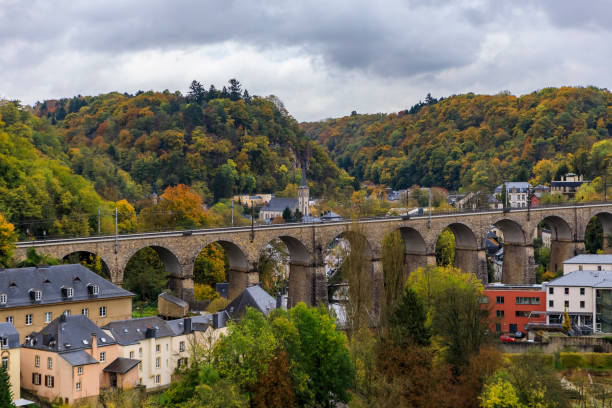 Aerial view of the Passerelle or Luxembourg Viaduct in the UNESCO World Heritage Site of Luxembourg old town Aerial view of the Passerelle or Luxembourg Viaduct across the Petrusse in the UNESCO World Heritage Site of Luxembourg old town with its Old Quarters petrusse stock pictures, royalty-free photos & images