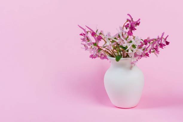 strauß von kleinen wald rosa, weiß und lila rote blumen in einer weißen vase auf einem rosa hintergrund mit kopierraum - cut flowers white small still life stock-fotos und bilder