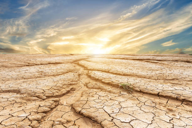 istock Brown dry soil or cracked ground texture on blue sky background with white clouds sunset. 1197415022