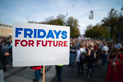 fridays for future sign at protest march against climate change demonstration with many blurred people in the background