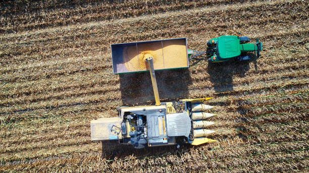 istock Aerial view of corn field during harvest 1197423978