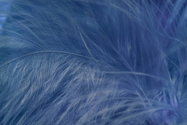 istock Close up Beautiful Phantom Blue trends  feather pattern texture background. Macro photography view. 1197424968