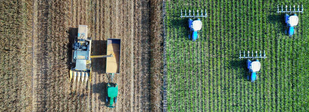 istock Aerial view of corn field during harvest 1197426883