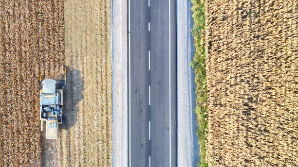 istock Aerial view of corn field during harvest 1197427547
