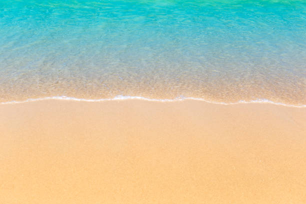 istock Beautiful aerial view tropical beach . 1197427645
