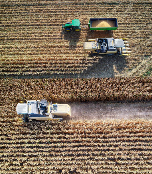istock Aerial view of corn field during harvest 1197430772