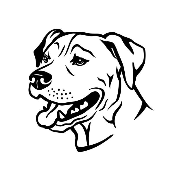 肖像向量插圖的美國鬥牛犬 - 比特犬 幅插畫檔、美工圖案、卡通及圖標