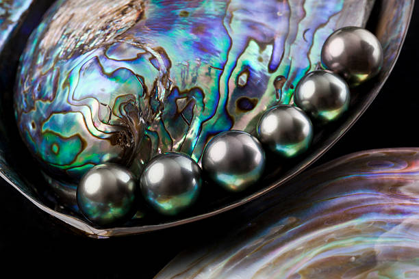 south mare perle - perla nera foto e immagini stock
