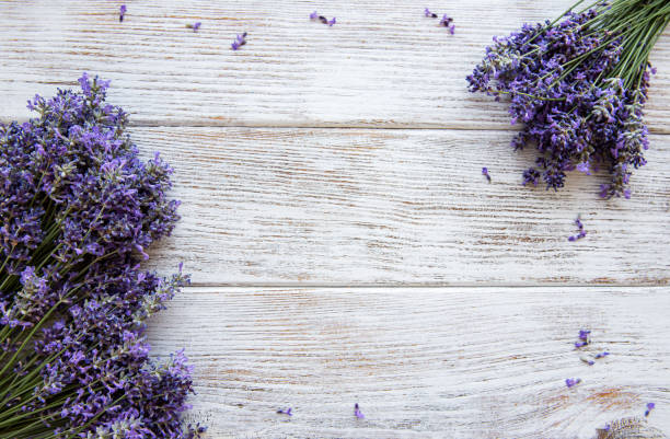 istock Fresh flowers of lavender 1197432599