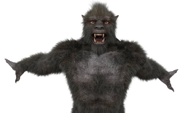 istock Lycan Werewolf isolated on white background 3d illustration 1197435031