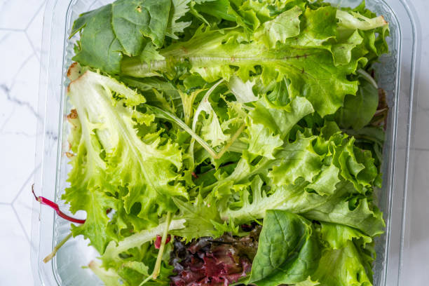 istock Take Away Mesclun Salad in Plastic Box Container / Package. Ready to Eat / Maskolin. 1197438218