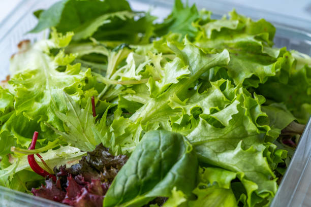 istock Take Away Mesclun Salad in Plastic Box Container / Package. Ready to Eat / Maskolin. 1197438789