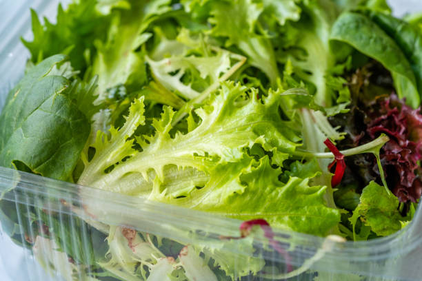 istock Take Away Mesclun Salad in Plastic Box Container / Package. Ready to Eat / Maskolin. 1197439059
