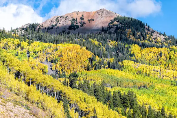 View from Castle Creek road of green yellow foliage aspen trees in Colorado rocky mountains autumn fall peak
