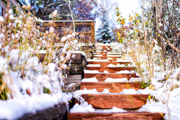 植物の装飾は、コロラド州の家の庭の裏庭の誰も建築と急な木製のステップに沿ってテラス冬の雪のテラスで覆われた造園 - landscaped landscape winter usa ストックフォトと画像