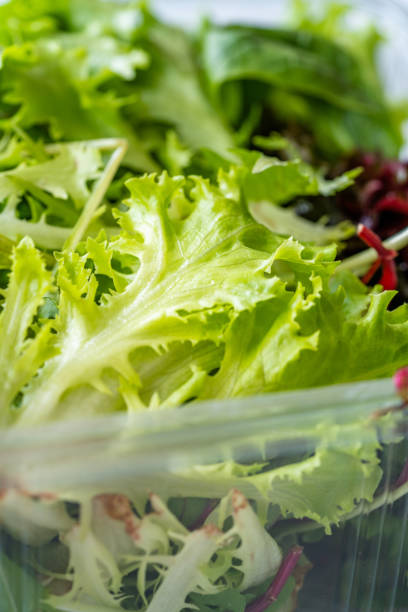 istock Take Away Mesclun Salad in Plastic Box Container / Package. Ready to Eat / Maskolin. 1197439858