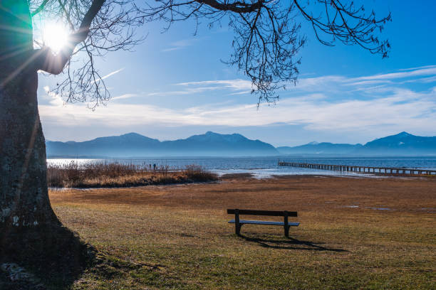 istock take a hike at the lake side on a bride sunny day 1197439890