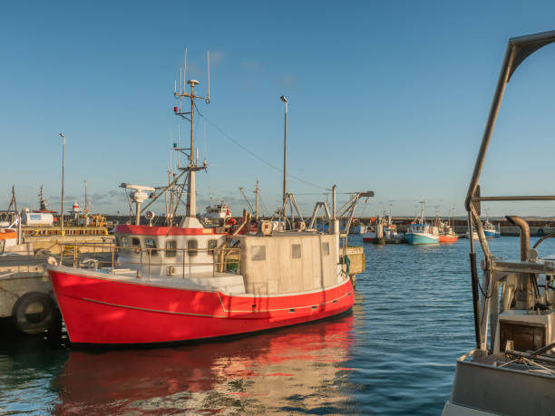 istock Fishing vessels in Thyboroen harbor in West Denmark 1197440079